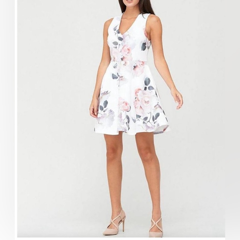 NWT Ted Baker London XL (6) Twiggi Bouquet Printed Skated Dress Ivory Pink